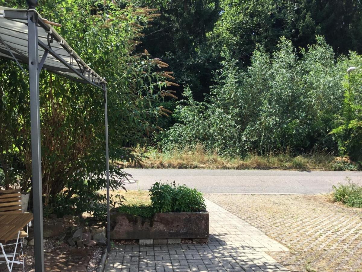 אופנבורג Ferienwohnung Casa Bianca מראה חיצוני תמונה